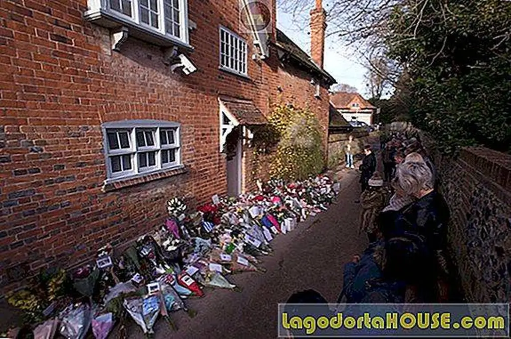 Image Image