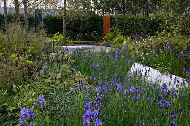 Дизайн Хьюго Багга под названием Waterscape Garden. Дизайн Хьюго Багга под названием Waterscape Garden.