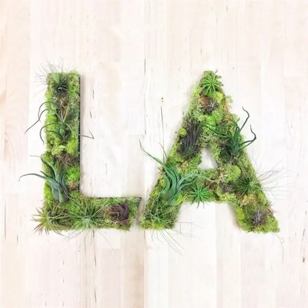 растительное настенное искусство gfraffiti vegetal