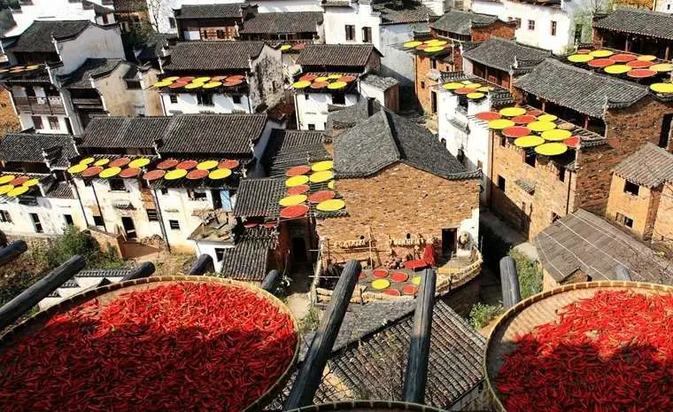 wuyuan-урожай-на-крышах