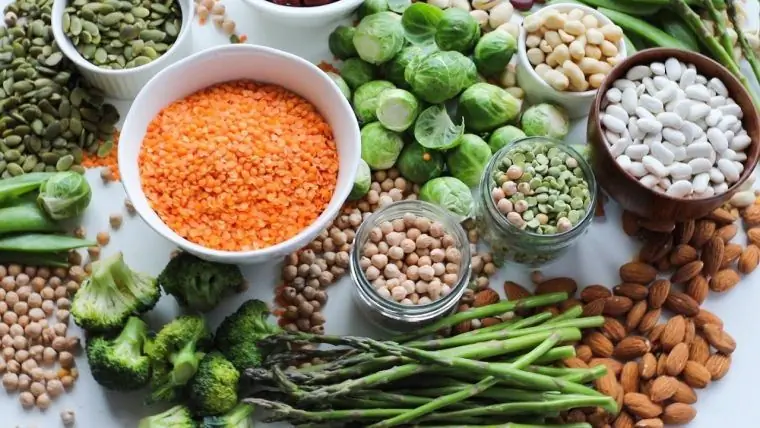 растительная диета: продукты растительная диета: продукты
