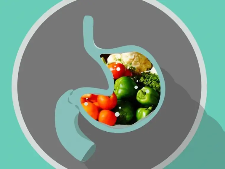 полезные для желудка продукты полезные для желудка продукты