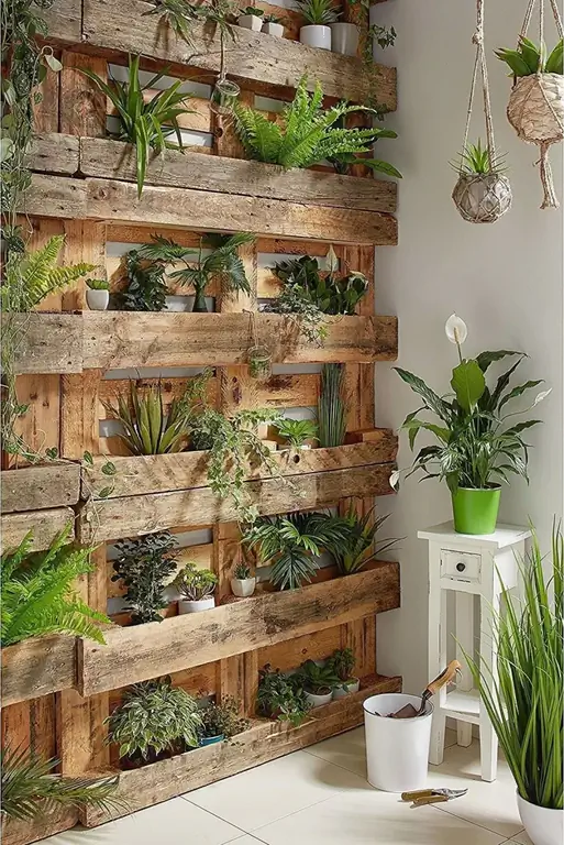 растения поддоны стены diy дом трюк
