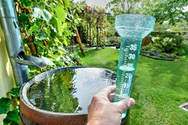 собирать дождевую воду собирать дождевую воду