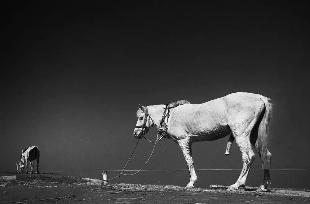 Серия черно-белых уличных фотографий бангладешского фотографа Абу Расела Рони