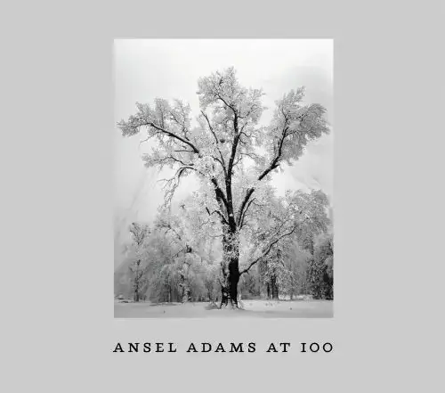 Энсел Адамс в 100 лет