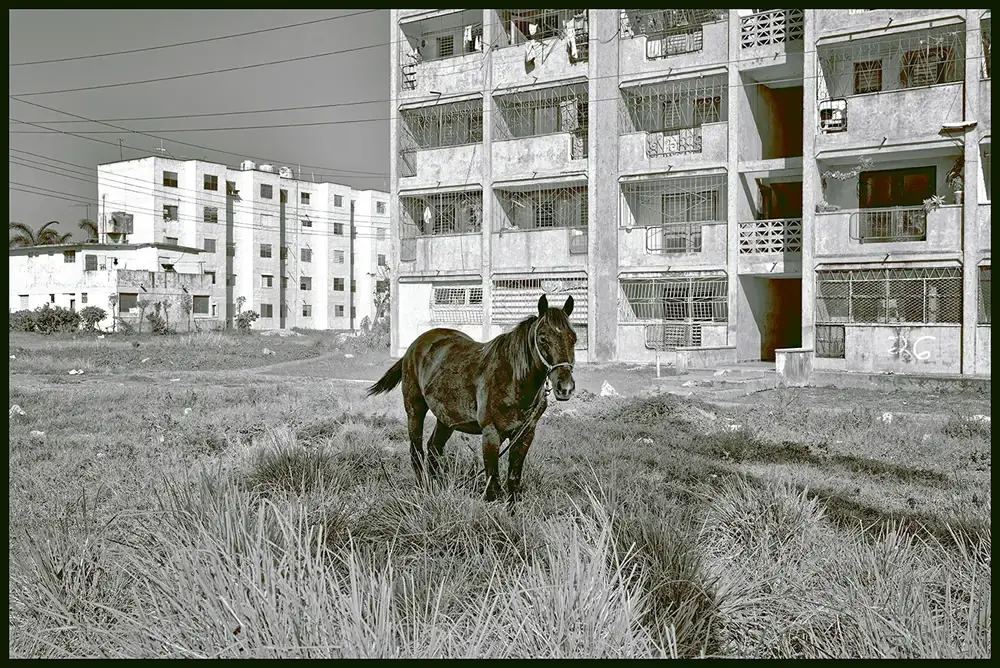 Интервью с французским фотографом Франком Педерсолем