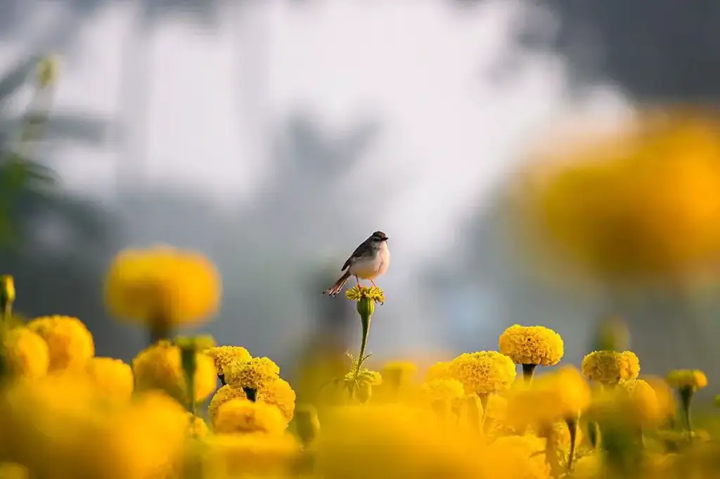 5 волшебных вещей, которыми будет гордиться фотограф внутри вас