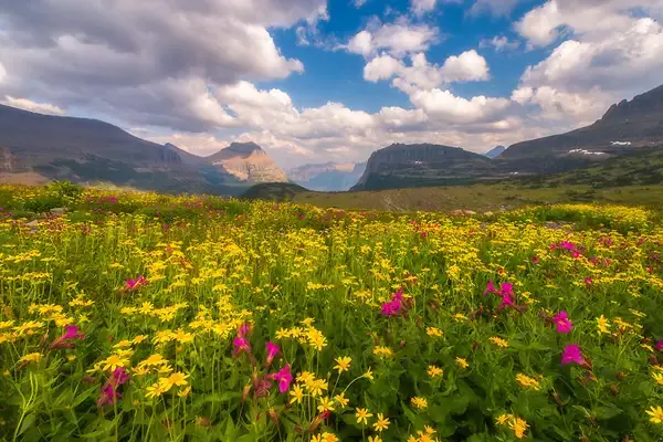 Лучшие фотографы-пейзажисты