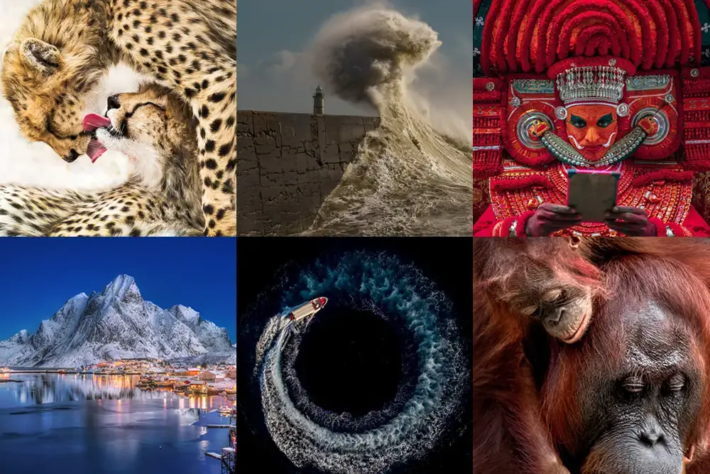 Sony World Photography Awards 2020 Объявлены шорт-листы победителей в & категориях