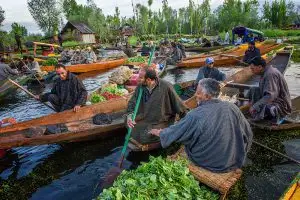 Река через мой двор автора Пинки Саньял