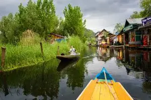 Река через мой двор автора Пинки Саньял