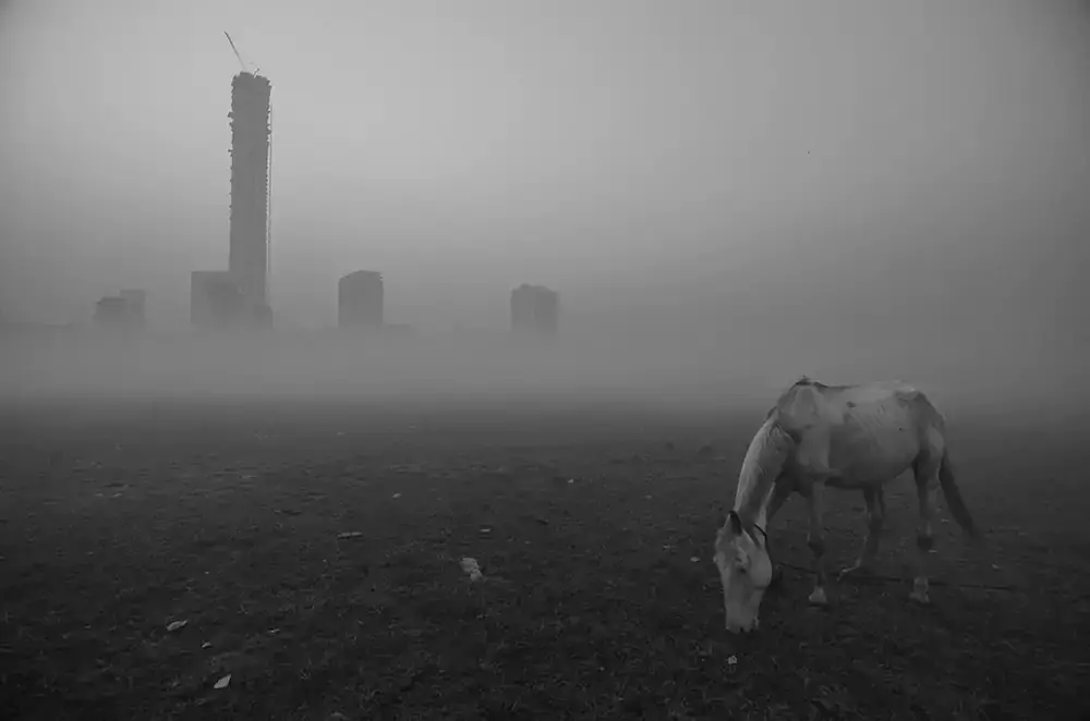 Одиночество: серия фотографий Дебарши Банерджи