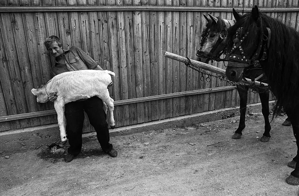 Интервью с венгерским фотографом Кристианом Кисели