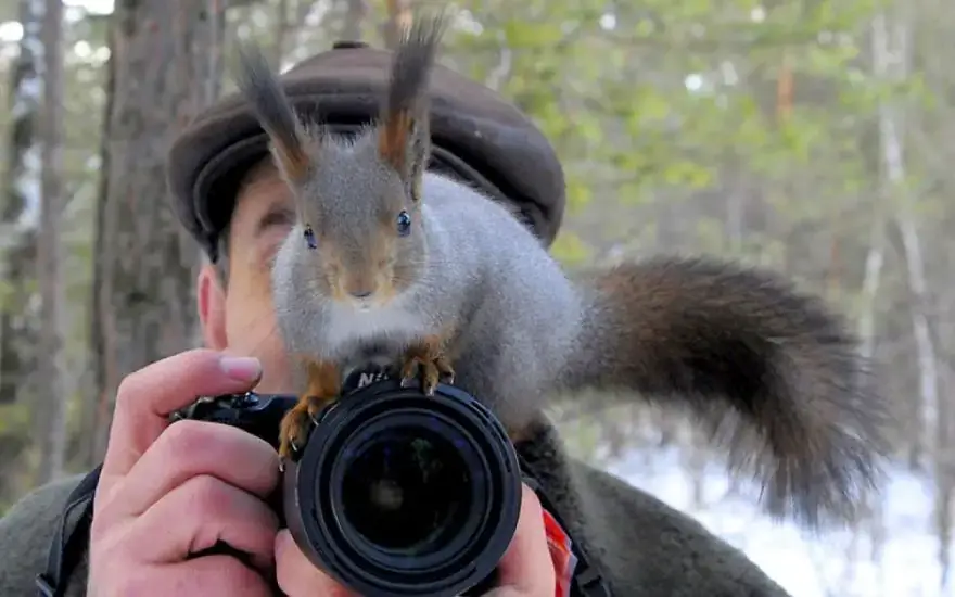 30 самых забавных фотографий животных, которые чувствуют себя комфортно с фотоаппаратом