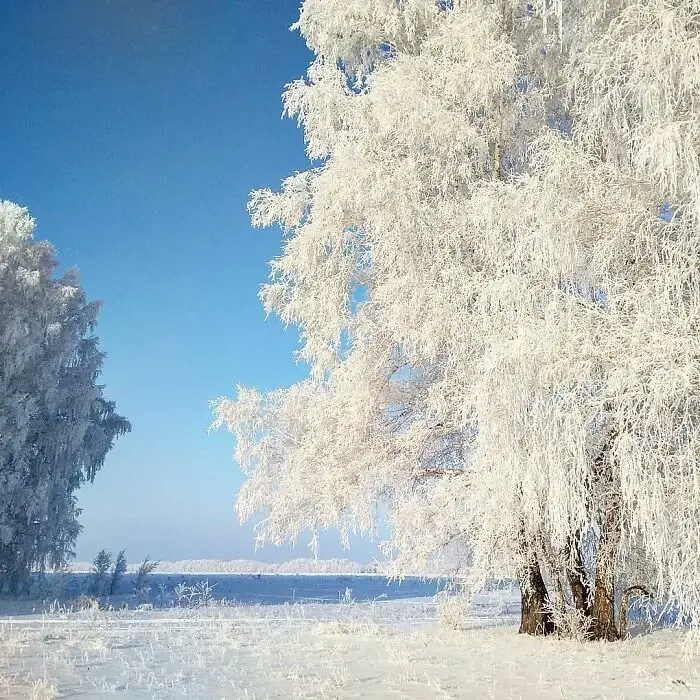 20 фотографий, которые прекрасно покажут, насколько холодно зимой в России