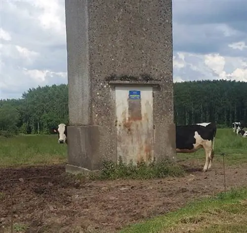 Сюрреалистические фотографии, сделанные чистой удачей