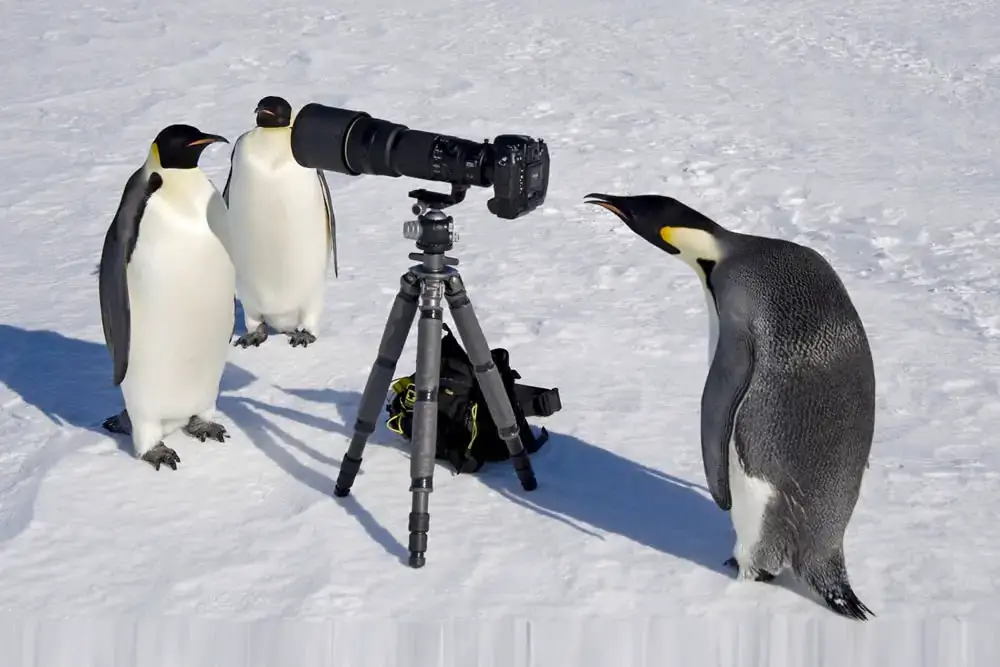 Американский фотограф Дэвид С. Шульц делает удивительные пейзажные фотографии со всего мира