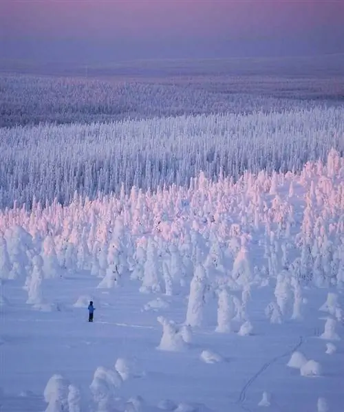 Самые удивительные зимние фотографии