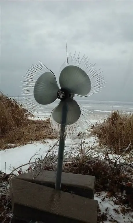 Самые удивительные зимние фотографии