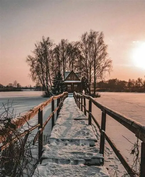 Геометрическая симметрия в природе