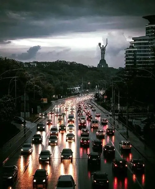 Геометрическая симметрия в природе