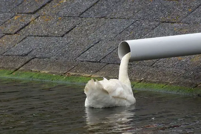 Фотографии с вводящими в заблуждение подписями