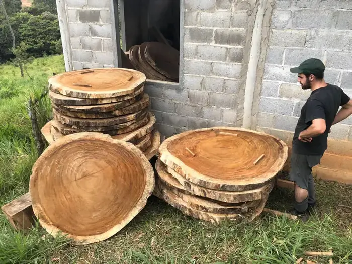 Вводящие в заблуждение подписи меняют то, как мы видим