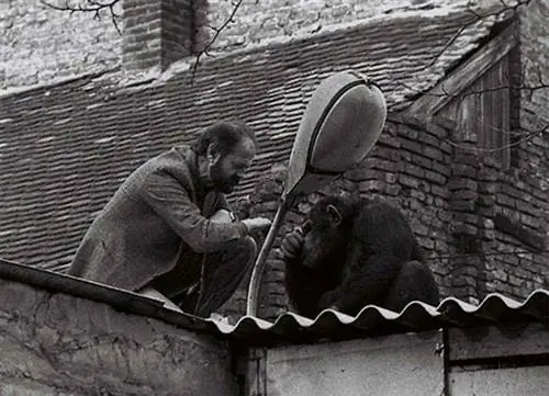 Редкие исторические фотографии