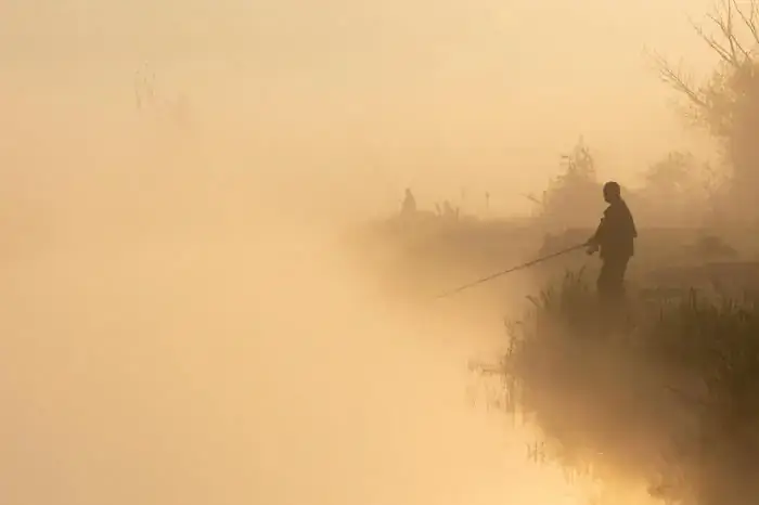 Я сделал снимок» (ITAP) Reddit Group