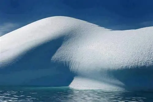 Фотографии с вводящими в заблуждение подписями