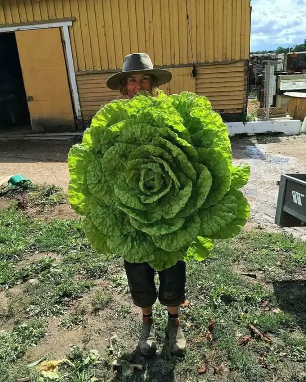 Фотографии огромных и массивных вещей