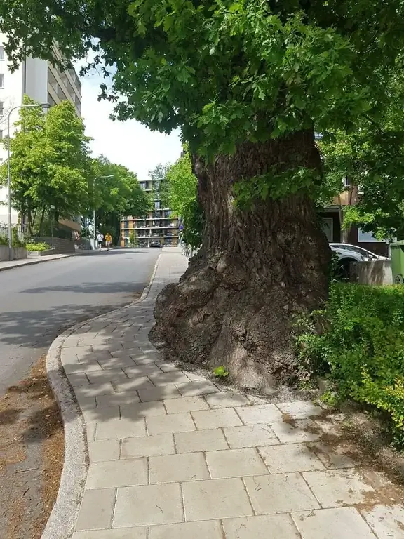 Отличные фотографии городского планирования