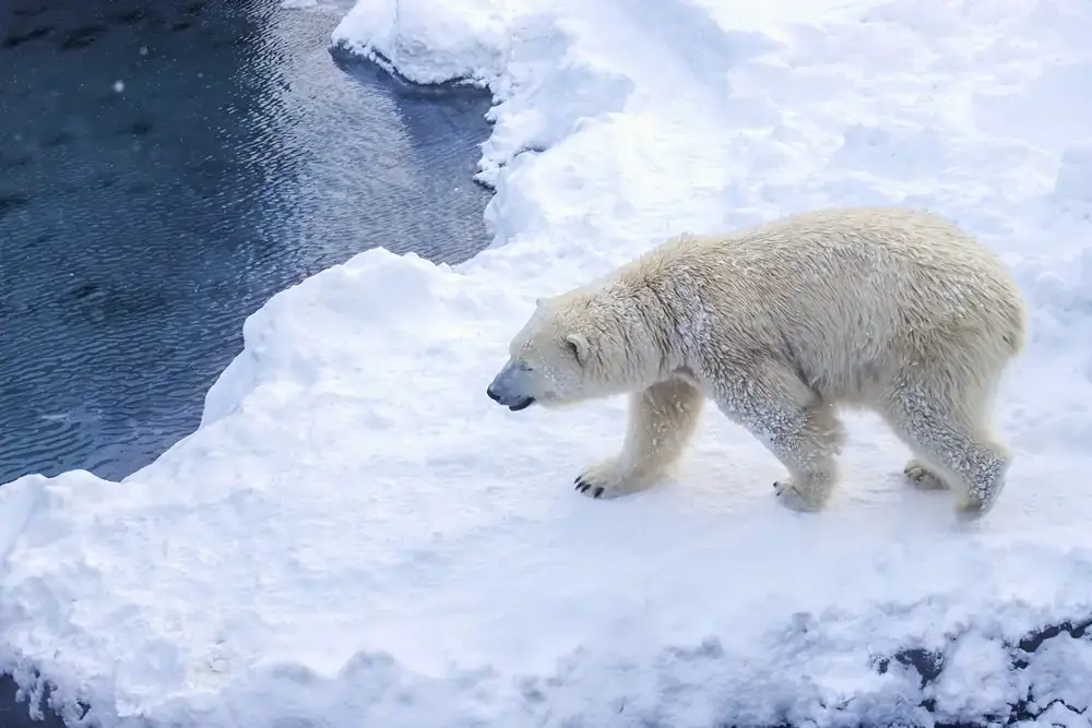 Почему Норвегия - идеальное место для пейзажного фотографа