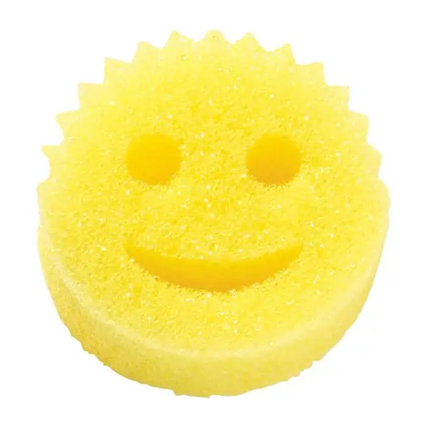 SS 16 ScrubDaddy R081716 1200