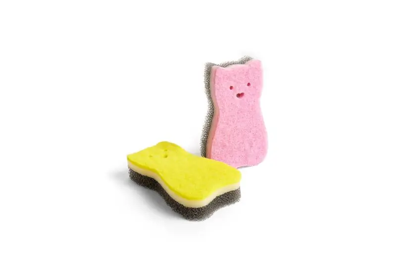 Kitty Sponge family