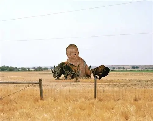 Image Image