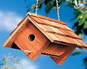 Cute DIY Birdhouse Cute DIY Birdhouse