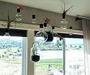 DIY висячие посадочные машины, которые сделают ваш дом свежее, чем когда-либо