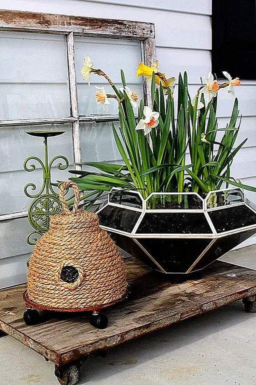 15 саженцев DIY для вашего переднего крыльца
