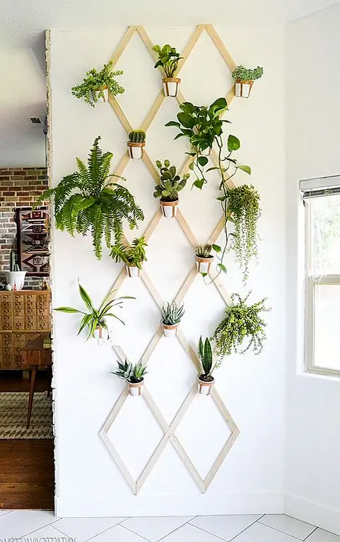 16 DIY Wall Planters научит вас, как очистить свой дом