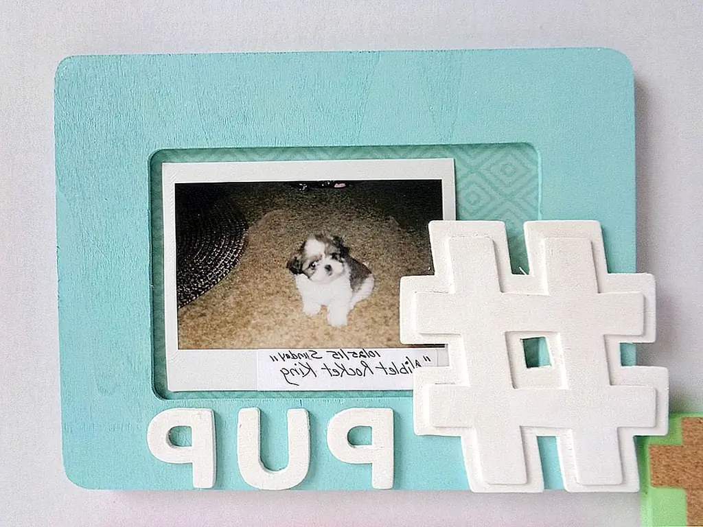 Image Image