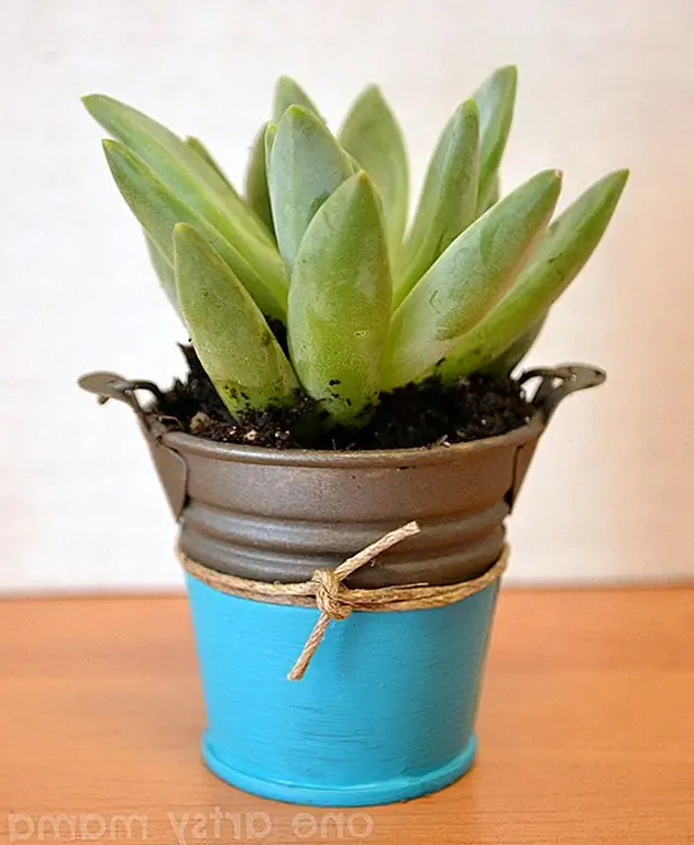 Красивые DIY Puffy Paint Planters