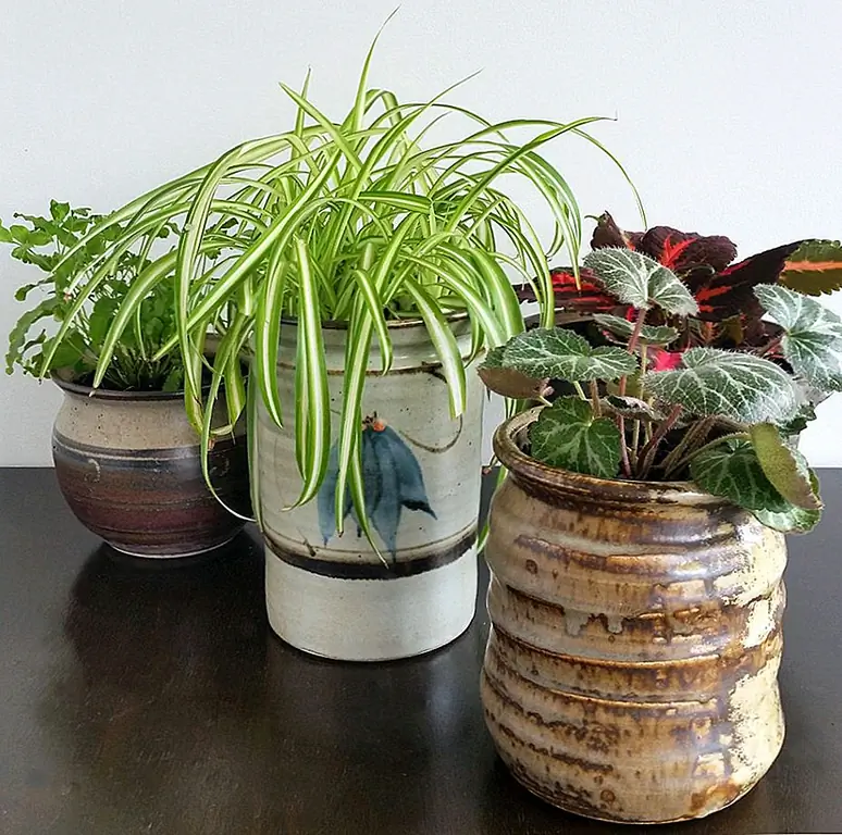 Многие вещи могут быть upcycled в вазы или плантаторы. Это также включает в себя старые банки для керамики, такие как те, которые представлены на threadbareclloak. Для преобразования вам понадобится сверло, смесь для заправки и растения. Просверлите отверстия в нижней части банки, а затем добавьте почву и растения. Если вы хотите, вы также можете рисовать банки, чтобы они выглядели веселее.