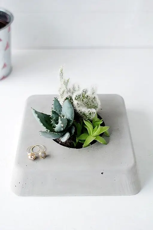 У любителей houseplant есть вещь для творческих горшков, поэтому имеет смысл, что мы отправимся в мир бетона. Через несколько часов вы можете приготовить эту восхитительную бетонную бетонную сеялку, готовую для всех ваших детских кактусов.