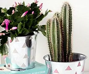 DIY Chrome Patterned Planter