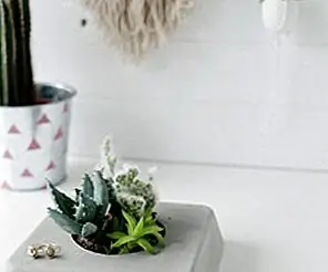 DIY Бетонный суккулентный плантатор DIY Бетонный суккулентный плантатор