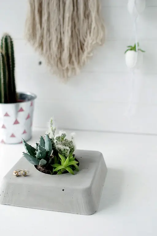DIY Бетонный суккулентный плантатор