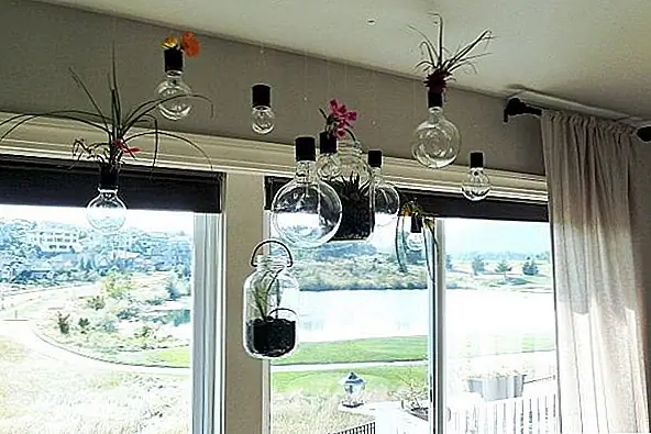 DIY висячие посадочные машины, которые сделают ваш дом свежее, чем когда-либо
