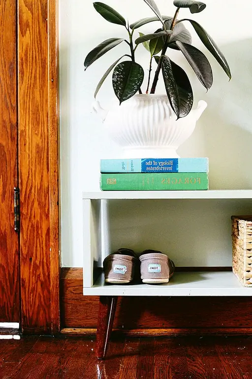 Сделай сам Современный Вдохновленный Entry Shelf